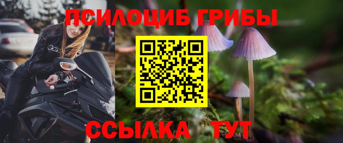 Псилоцибиновые грибы мухоморы  Псилоцибиновые грибы Psilocybe  Вход с VPN  Старый Оскол 